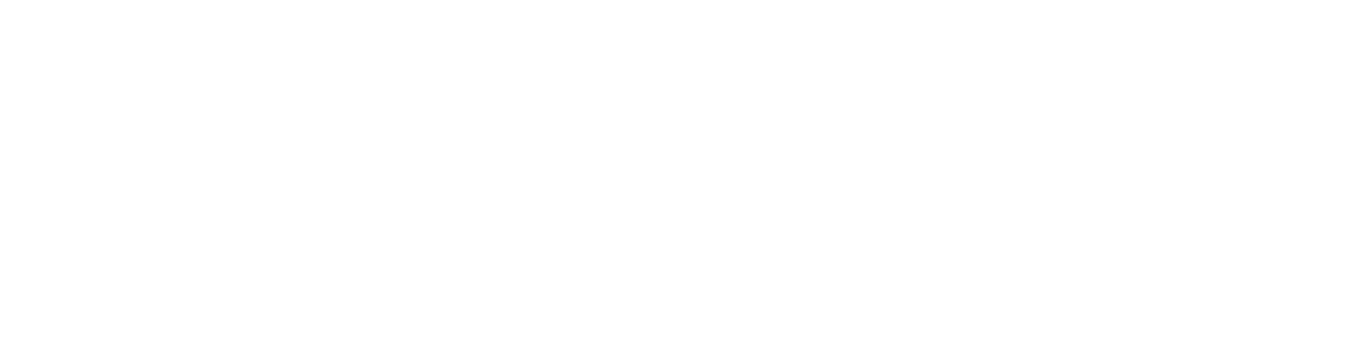 Woopsa